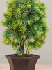 Artificial Crafted Houseplant