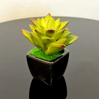 Little Artificial Plant – Ceramic Pot – AP383