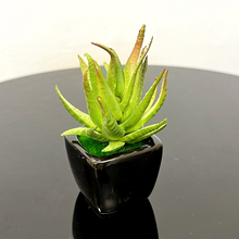 Little Artificial Plant – Ceramic Pot – AP386